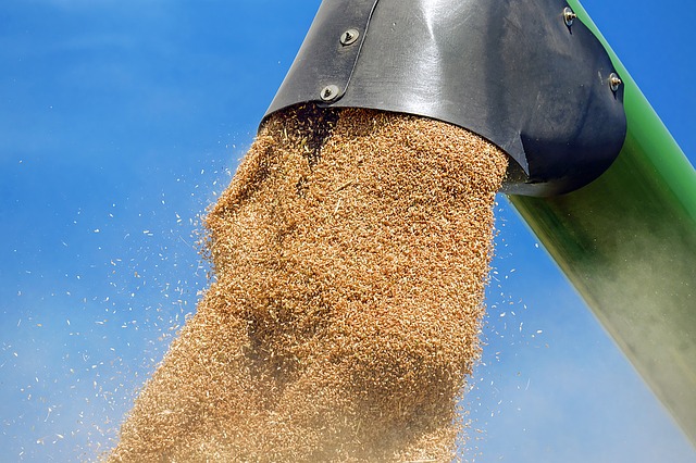 Wheat Cleaning