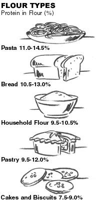 Flour Types and Protein levels