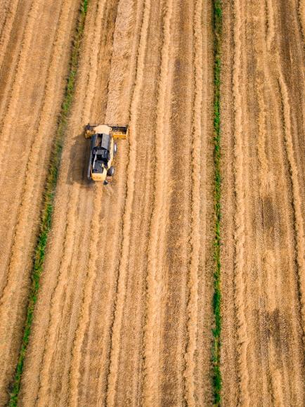 Combine Harvester