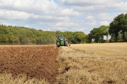 Ploughing a wheat field