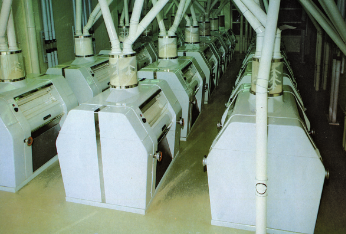 Modern Roller Mill Floor